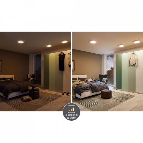 Потолочный светодиодный светильник Paulmann Carpo 79803