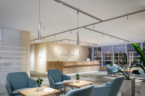 Трековый светильник Paulmann ProRail3 Purell 95527