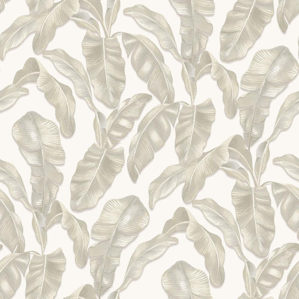 Обои Parato (Cristiana Masi) Hashtag 11004