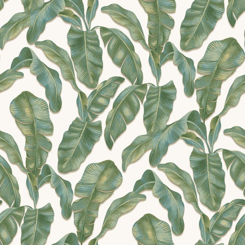 Обои Parato (Cristiana Masi) Hashtag 11005