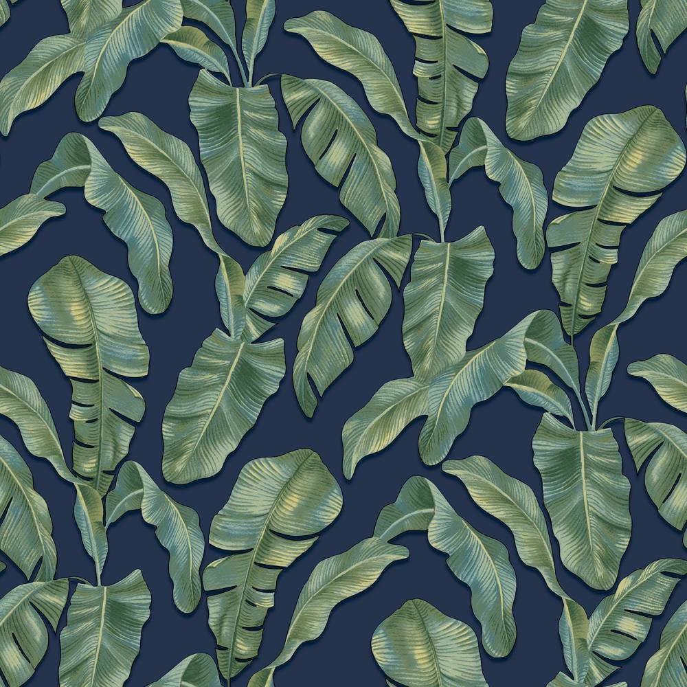 Обои Parato (Cristiana Masi) Hashtag 11006