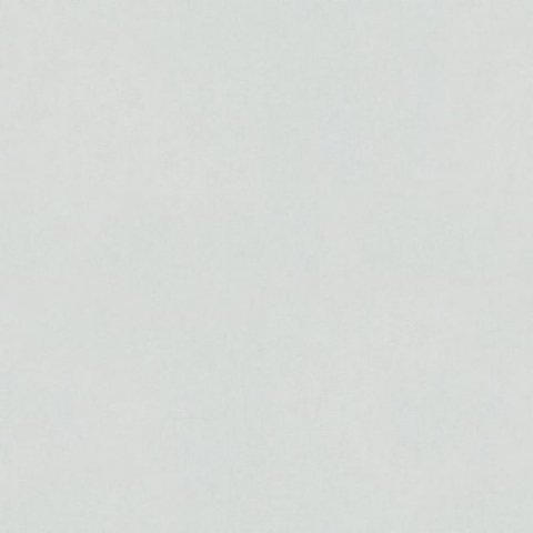 Обои Erismann DE Wild Mix 12000-31