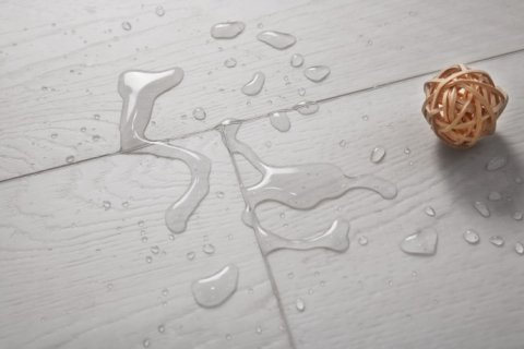 Дуб Стелла/Oak Stella