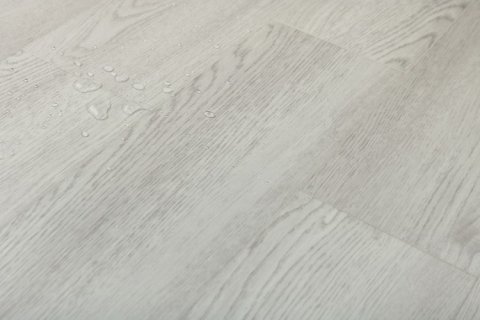 Дуб Сальваторе/Oak Salvatore