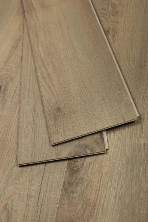 Дуб Кельвин/Oak Calvin