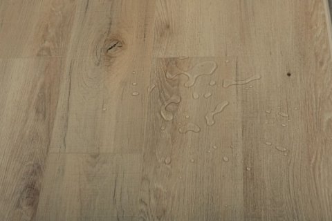 Дуб Кельвин/Oak Calvin