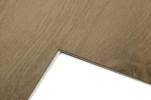 Дуб Кельвин/Oak Calvin