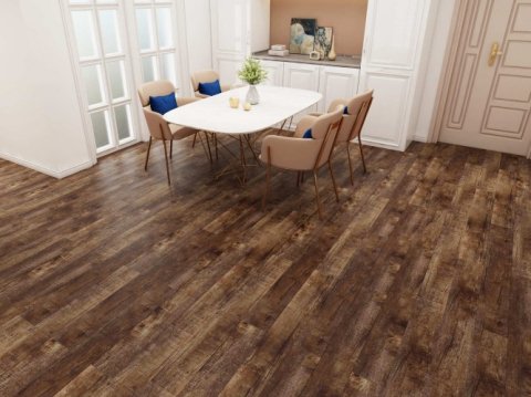 Дуб Джанни/Oak Gianni