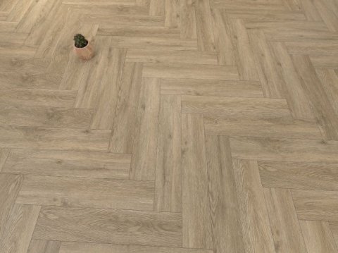 Дуб Бове/Oak Bouvet