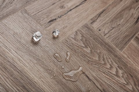 Дуб Фостер/Oak Foster