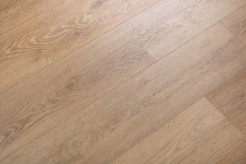 Дуб Кусто/Oak Custo