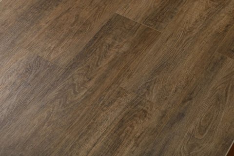 Дуб Френсис/Oak Frencis