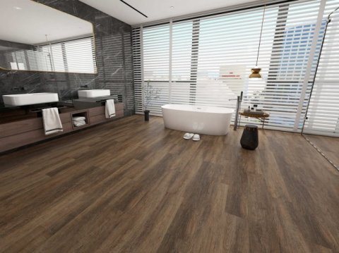 Дуб Френсис/Oak Frencis