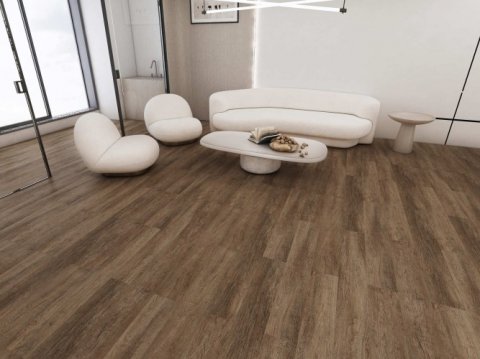 Дуб Френсис/Oak Frencis