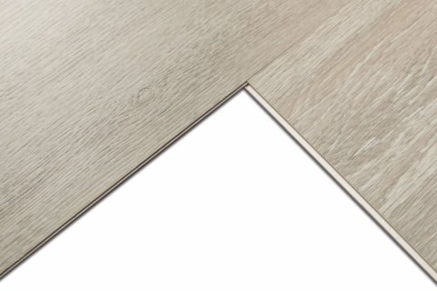 Дуб Христофор/Oak Christofor