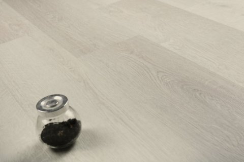 Дуб Виллем/Oak Willem