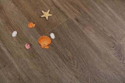 Дуб Америго/Oak Amerigo