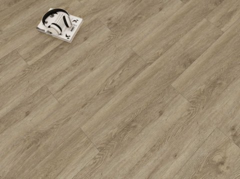 Дуб Фернан/Oak Fernan