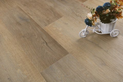 Дуб Васко/Oak Vasko