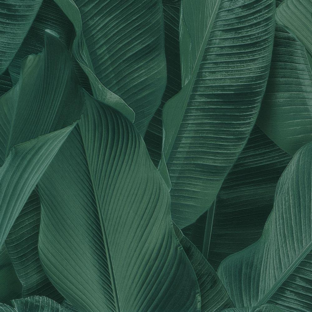 Обои Limonta Lymphae 17813L