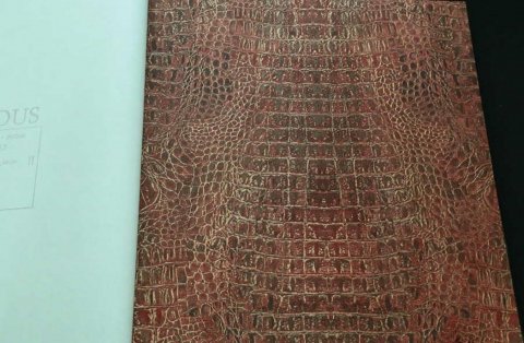 Обои BN Curious BN 17957