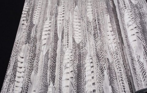 Обои BN Curious BN 17965