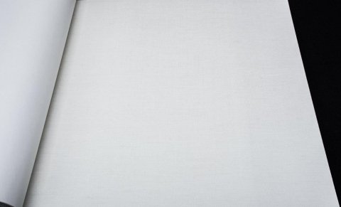 Обои BN Riviera Maison BN 18345