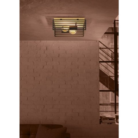 Потолочный светильник Eglo Cidraz 390163