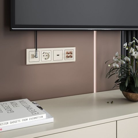 Розетка Werkel TV/RJ-45 6 кат слоновая кость W1181303 4690389174476