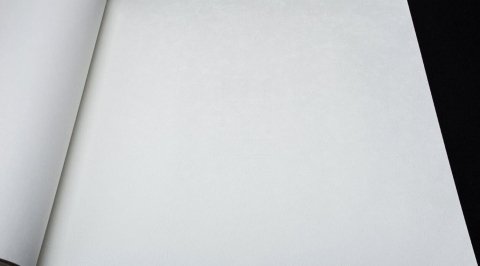 Обои BN Van Gogh 2 BN 220083