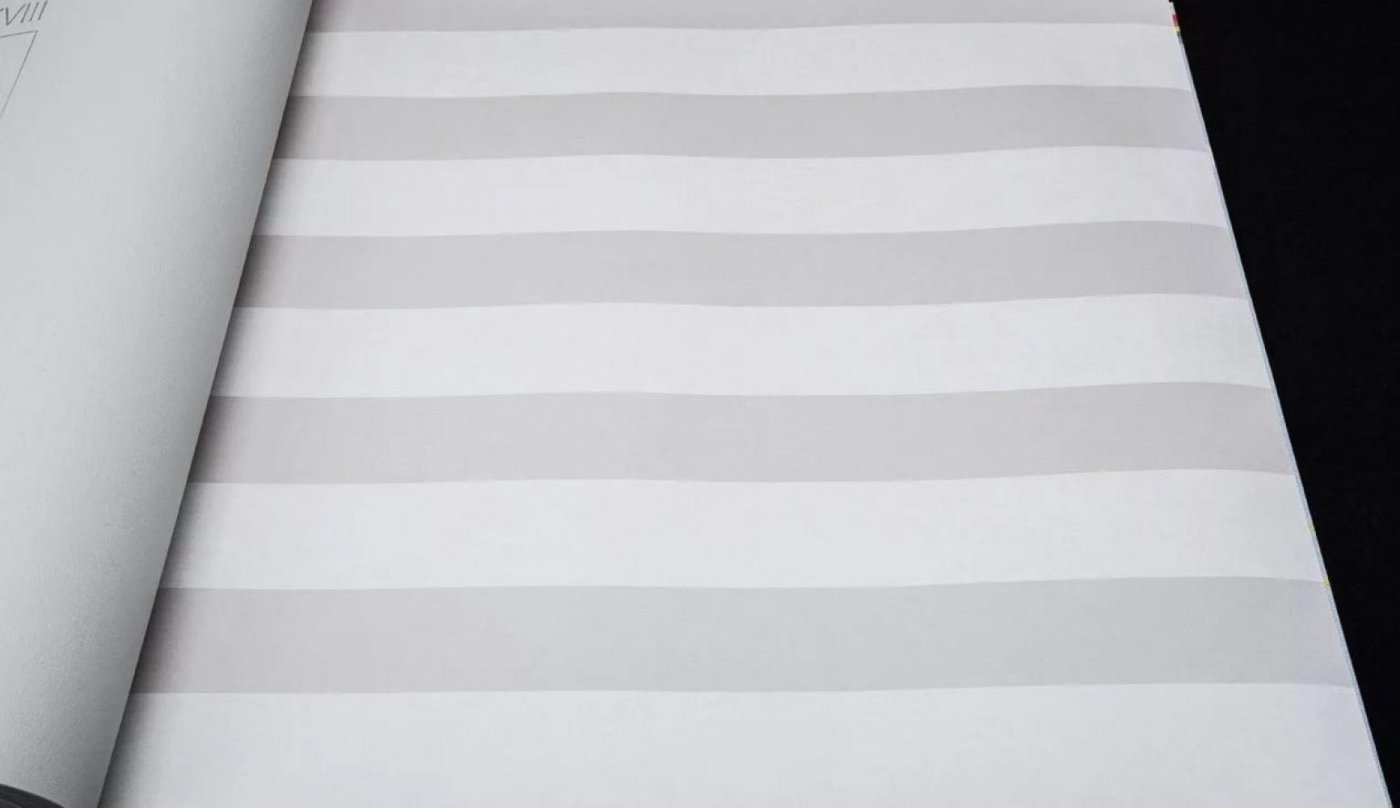 Обои Rasch Bambino 18 246056