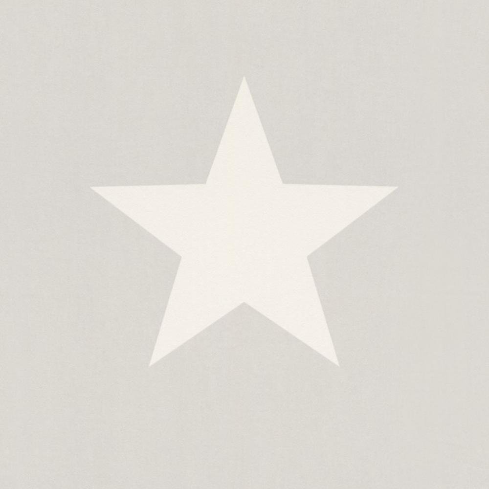 Обои Rasch Kids Teens 2 248128