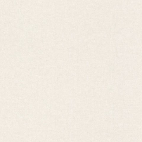 Обои Rasch Bambino 19 252804