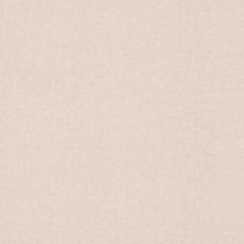 Обои Rasch Bambino 19 252828