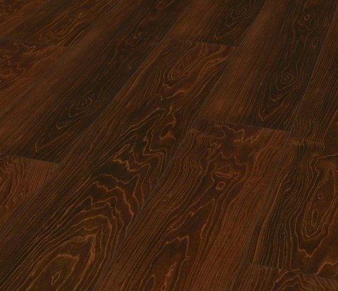 Falquon Blue Line Wood D2920 Plateau Maple