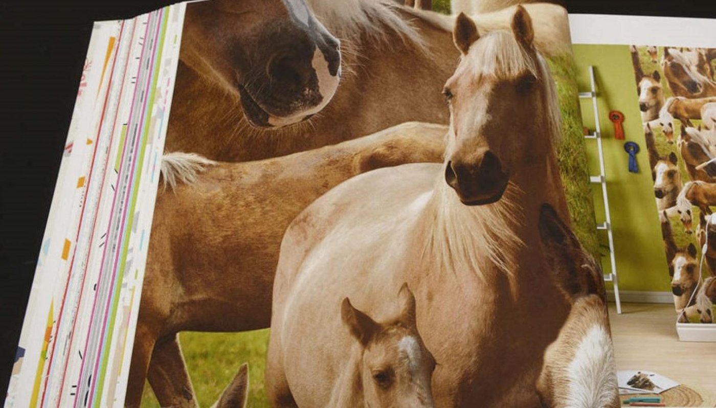 Обои Rasch Kids Teens 2 293104