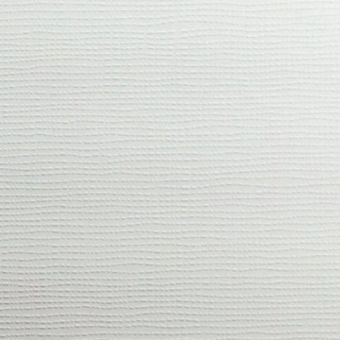 Обои AS Creation Antivandal 3010-008