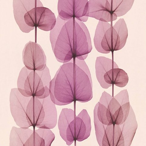 Обои AS Creation X-Ray 34245-3