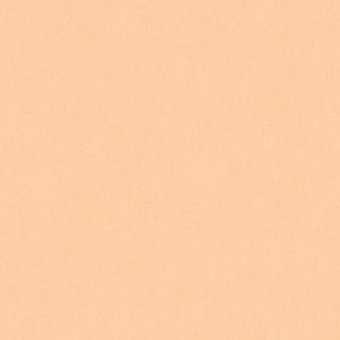 Обои AS Creation Bjorn 3531-22