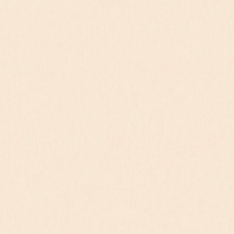 Обои Erismann RU Light 1 3614-4