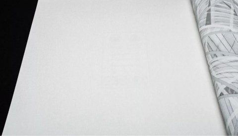 Обои AS Creation Emotion Graphic 36882-8