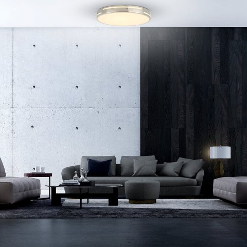 Потолочный светодиодный светильник F-Promo Pall 2744-1C