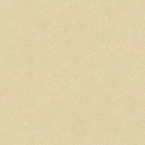 Обои AS Creation Pop Style 3750-56