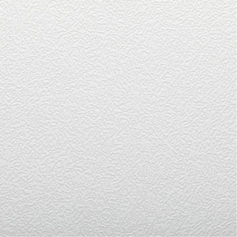 Обои AS Creation Antivandal 4010-22