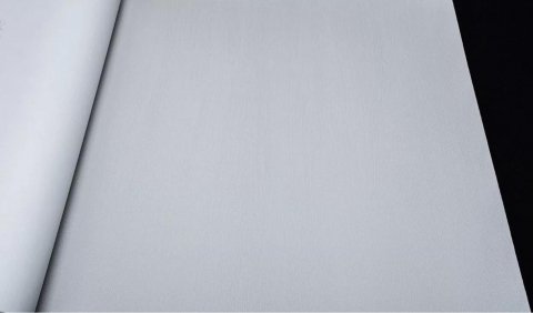 Обои Rasch Hyde Park 411874