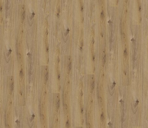 Ламинат Kronotex Amazone D 4169 Дуб Престиж светлый