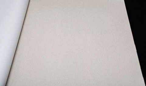 Обои Rasch Club 418644