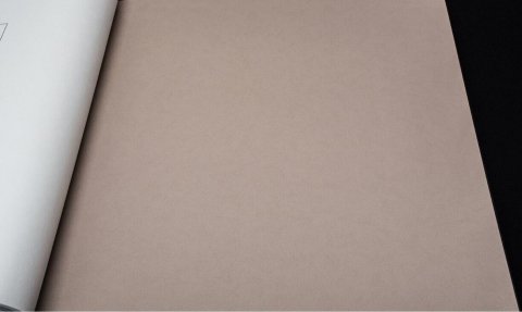 Обои BN Tailor BN 4249361