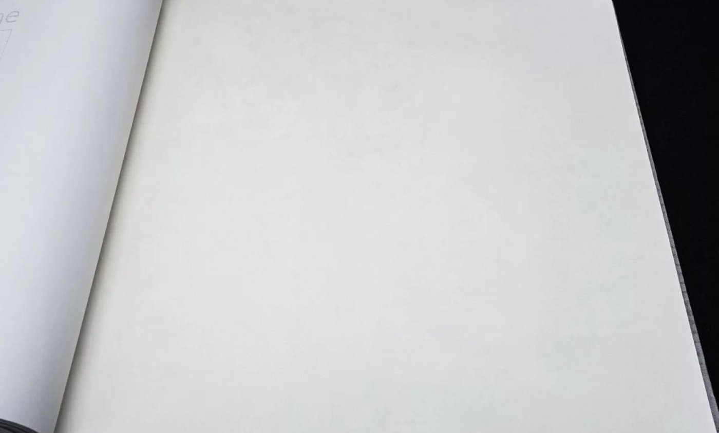 Обои Rasch Brick Lane 426106