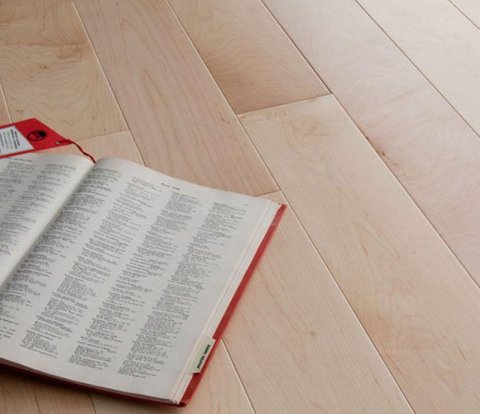 Массивная доска Magestik Клен канадский